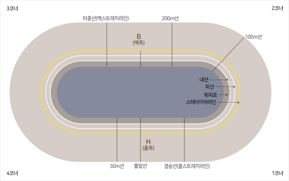 창원경륜장 돔사진